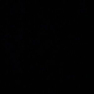 Meet your Posher, Connor